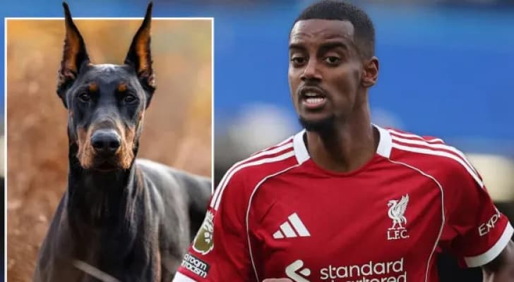 ألكسندر إيزاك يقتني كلب حراسة خاص بعد تلقي تهديدات بالقتل!